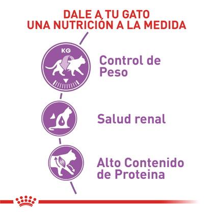 Alimento Para Gato Royal Canin Sterilised 37