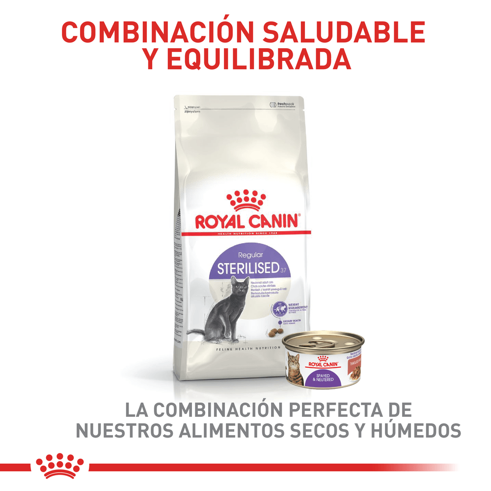 Alimento Para Gato Royal Canin Sterilised 37