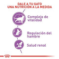 Alimento Para Gato Royal Canin Sterilised 7