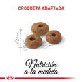 Alimento para gato Royal Canin Adulto Fit Pecio Especial