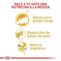 Alimento para gato Royal Canin Persa Adulto
