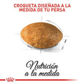 Alimento para gato Royal Canin Persa Adulto