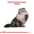 Alimento para gato Royal Canin Persa Adulto