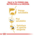 Alimento para perro Royal Canin Westhighland White Terrier
