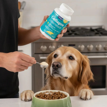 Suplemento Flex Collagen en Polvo con Colágeno y Ácido Hialurónico Kanu Vet para Perros