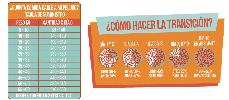 Guía de Alimentación