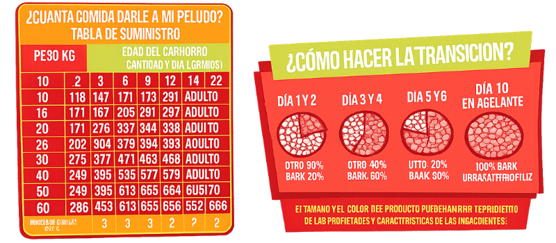 Guía de Alimentación