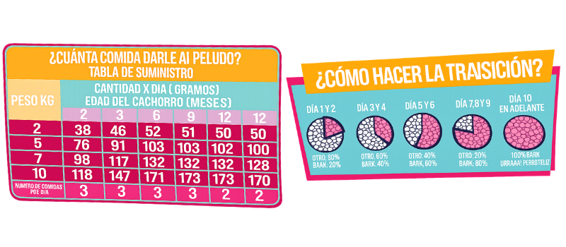 Guía de Alimentación