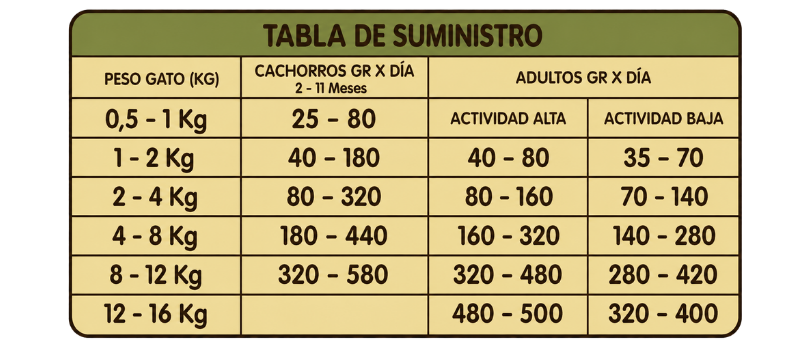 Guía de Alimentación