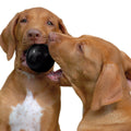 Pelota caucho kong extreme small para perro