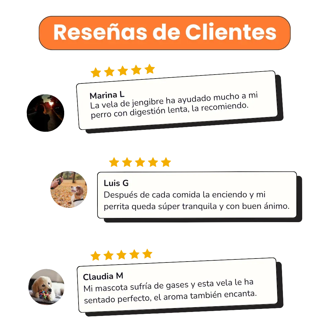 Vela Digestive Support Kanu Pet para Perros aroma Ginger