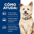 Alimento para perro Hills Canino K/D Lata
