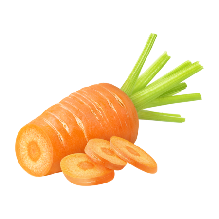 Zanahoria_c3df5124-db61-43fe-b901-c1447ebfabbb-Kanu Pet