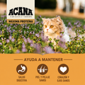 Alimento Seco Acana Cat Meadowlands para Gato Adulto