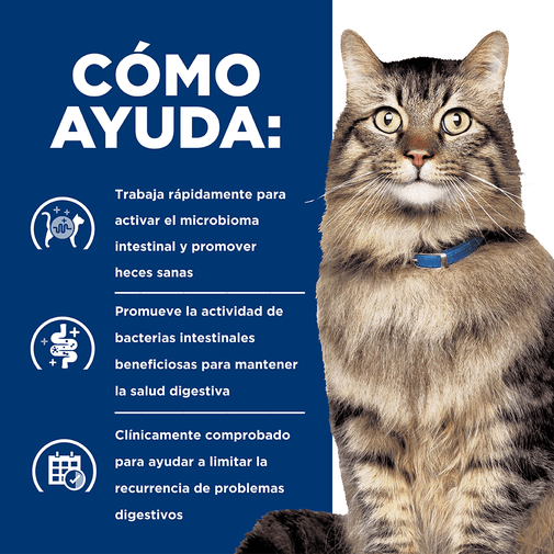 Alimento Para Gato Hills Gastrointestinal Biome