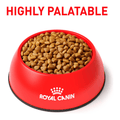 Alimento Para Gato Royal Canin Calm