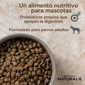 Alimento Seco  Diamond Cordero y Arroz para perro Adulto