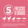 Alimento Seco Orijen Small Breed para Perros