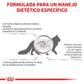 Alimento Para Gato Royal Canin Gastro Intestinal