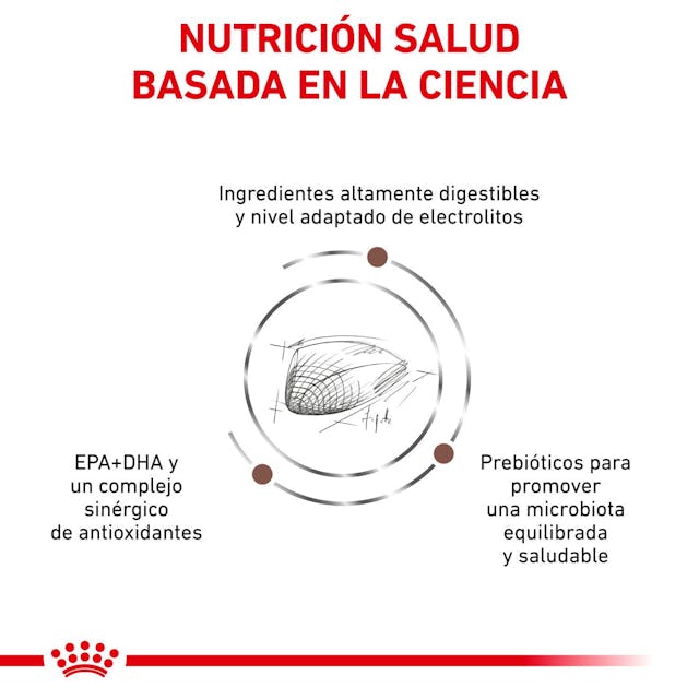 Alimento Para Gato Royal Canin Gastro Intestinal