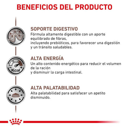 Alimento Para Gato Royal Canin Gastro Intestinal