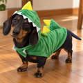 Disfraz de Cocodrilo  Kanu Pet para Perro
