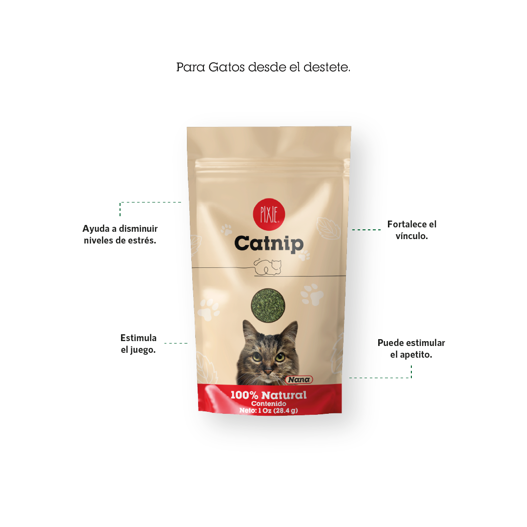 Catnip Pixie para gato