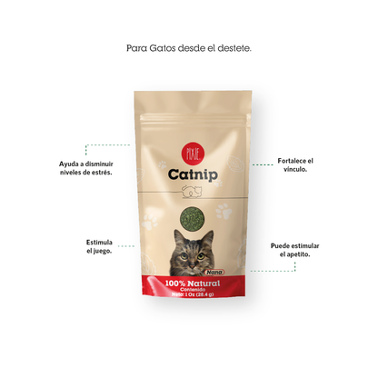 Catnip Pixie para gato