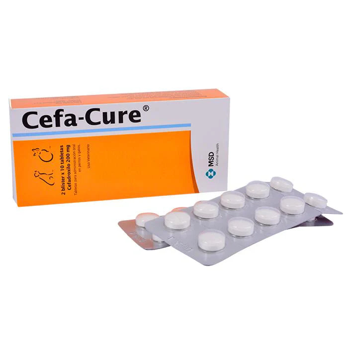 Cefa Cure 200 Mg Blister x 10 Para Todos