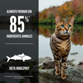 Alimento Seco Orijen Six Fish para Gatos Adulto
