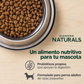 Alimento para perro Diamond Cordero y Arroz para Perro Adulto Raza Pequeña