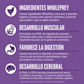 Alimento Seco Orijen Kitten para Gatos Cachorros