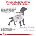 Alimento Seco Royal Canin Vd GastroIntestinal para Perro