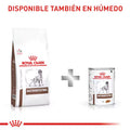 Alimento Seco Royal Canin Vd GastroIntestinal para Perro