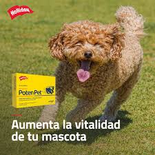 Biomodulador Poten Pet Perros Y Gatos