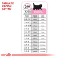 Alimento Para Gato Royal Canin Persa Kitten Especial Pack