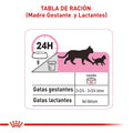 Alimento Para Gato Royal Canin Persa Kitten Especial Pack