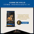 Alimento para perro Proplan 7 Small Breed