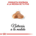 Alimento para perro Royal Canin Pug Adulto
