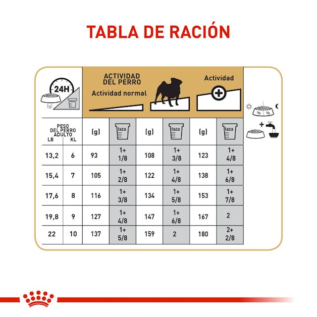 Alimento para perro Royal Canin Pug Adulto-Kanu Pet