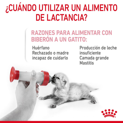 Alimento para Kitten Royal canin Babycat Milk-Kanu Pet