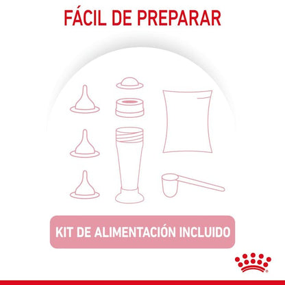 Alimento para Kitten Royal canin Babycat Milk-Kanu Pet