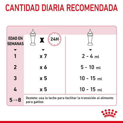 Alimento para Kitten Royal canin Babycat Milk-Kanu Pet