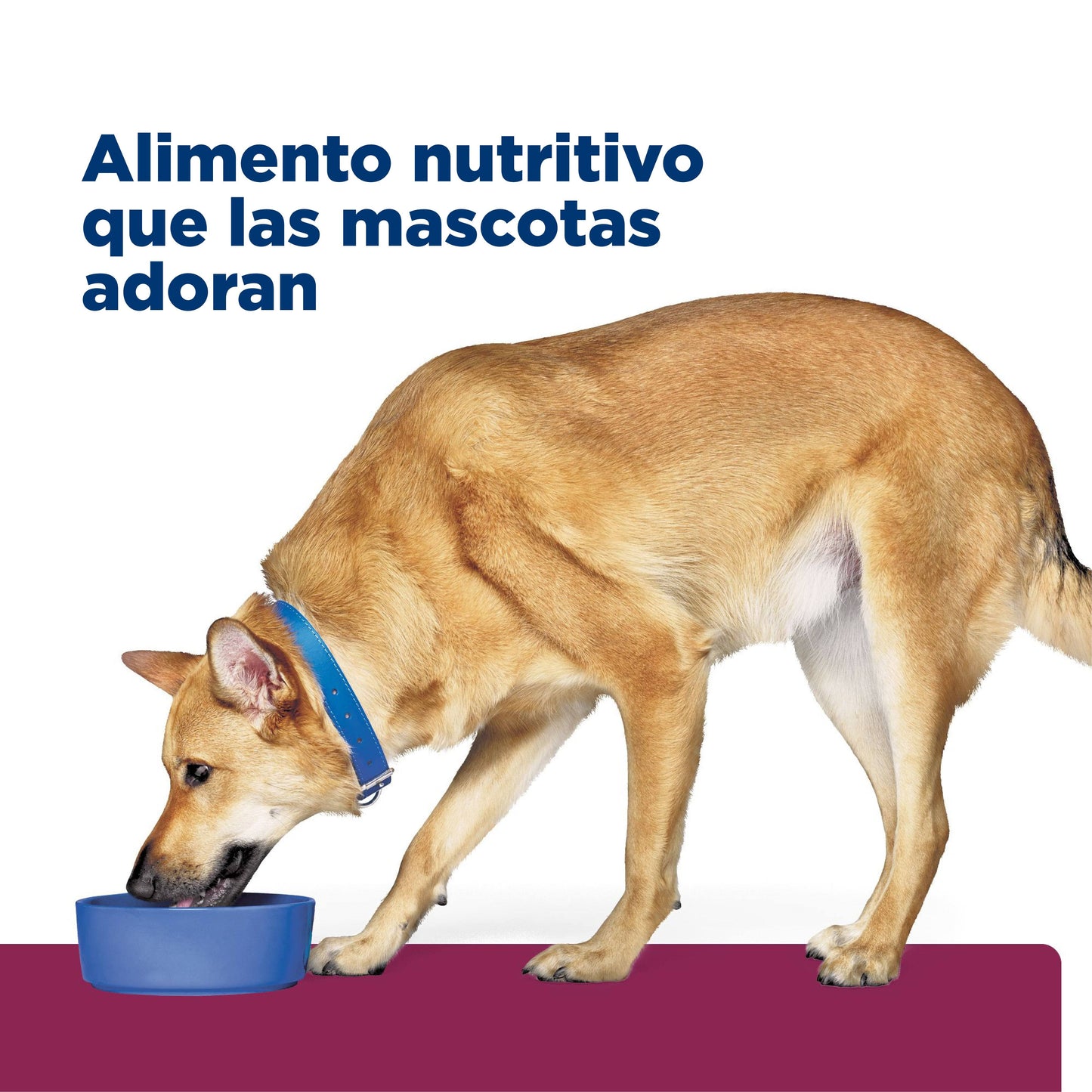 Alimento para perro Hills Canino I/D Bajo En Grasa Lata