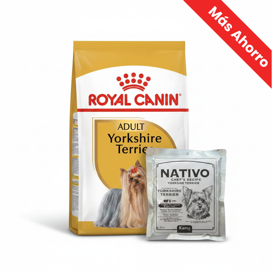 Alimento para perro Royal Canin Yorkshire Terrier + Alimento Húmedo Nativo Chef’s Recipe Yorkshire Terrier Kanu Pet para Perros