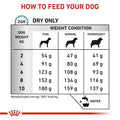 Alimento Para Perro Royal Canin Anallergenic Raza Pequeña